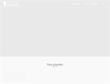 Tablet Screenshot of pepinieres-burguin.com